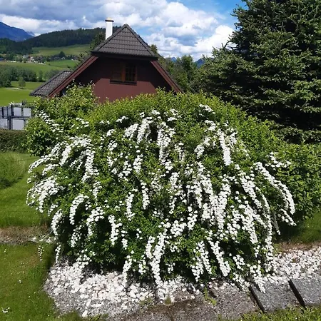 公寓 Haus Graf 伊尔德宁