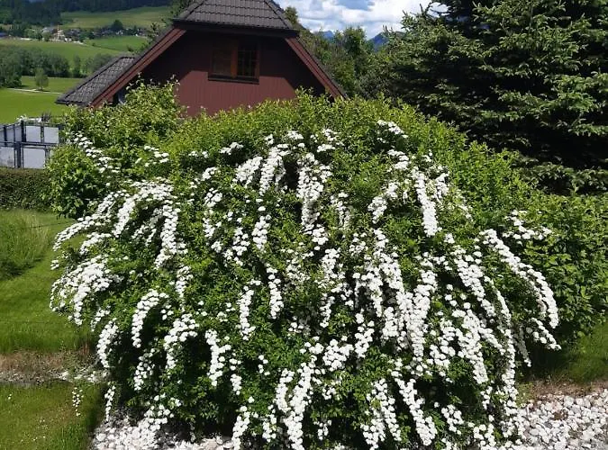 Apartment Haus Graf Irdning